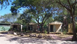 Arnold NT Accommodation in Surfers Paradise