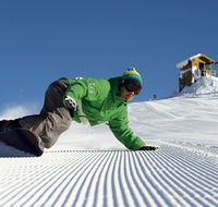 Snowbird Inn - Accommodation in Surfers Paradise