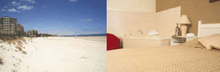 Buffalo Motor Inn - Accommodation in Surfers Paradise 4