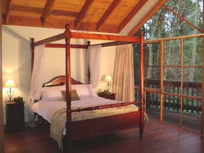 Belle Le Vie (Luxury B&B) - Accommodation in Surfers Paradise 2