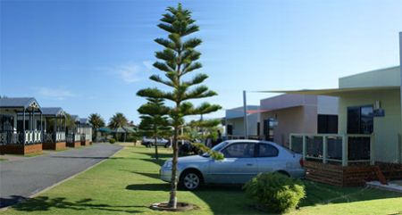 Discovery Parks -Adelaide Beachfront  - Accommodation in Surfers Paradise 1