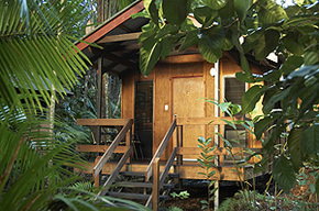 Cape Tribulation QLD Accommodation in Surfers Paradise
