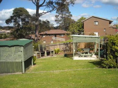 The Tree Motel - Accommodation in Surfers Paradise 0