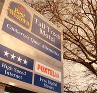 Best Western Tall Trees Motel - Accommodation in Surfers Paradise