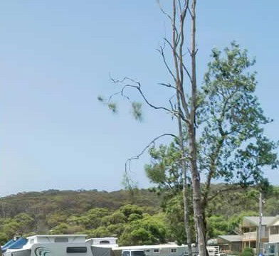 Merry Beach Caravan Park - Accommodation in Surfers Paradise 2