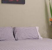 Stingo Hotel - Accommodation in Surfers Paradise