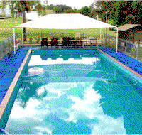 Jacaranda Motor Lodge - Accommodation in Surfers Paradise