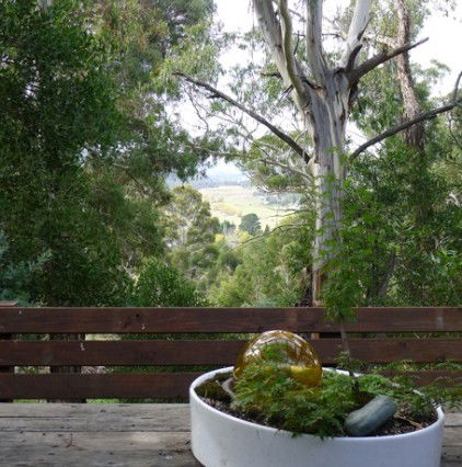 Jindabyne NSW Accommodation in Surfers Paradise