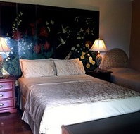 Daintree Manor - Accommodation in Surfers Paradise