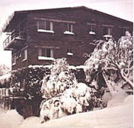 Elk at Falls - Accommodation in Surfers Paradise