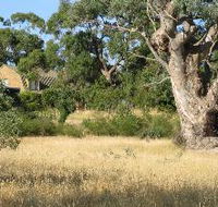 Wings Barossa Bird and Bush Retreat - Accommodation in Surfers Paradise