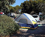 Marion Bay Caravan Park - Accommodation in Surfers Paradise 6