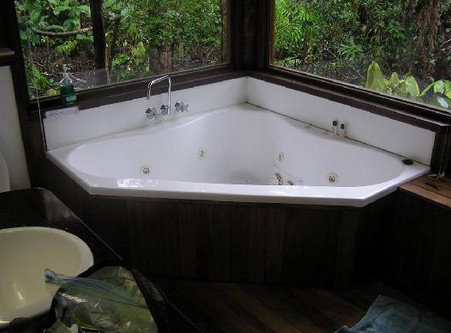 The Canopy Rainforest Tree Houses And Wildlife Sanctuary - Accommodation in Surfers Paradise 0