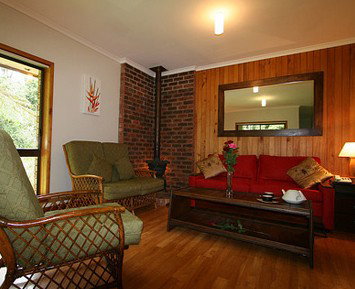 The Canopy Rainforest Tree Houses And Wildlife Sanctuary - Accommodation in Surfers Paradise 1