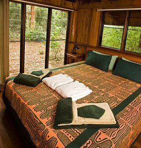 The Canopy Rainforest Tree Houses And Wildlife Sanctuary - Accommodation in Surfers Paradise 2