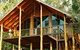 The Canopy Rainforest Tree Houses And Wildlife Sanctuary - thumb 4