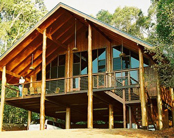 The Canopy Rainforest Tree Houses And Wildlife Sanctuary - Accommodation in Surfers Paradise 4
