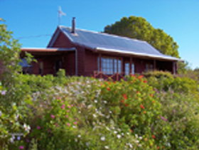 Black River TAS Accommodation in Surfers Paradise