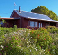 Gateforth Cottages - Accommodation in Surfers Paradise