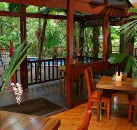 Daintree Wilderness Lodge - Accommodation in Surfers Paradise