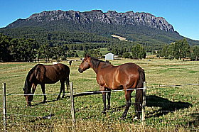 Hurlfield Farm Cottage - Accommodation in Surfers Paradise 0