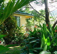 Daintree Valley Haven - Accommodation in Surfers Paradise