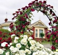 Golden Embers Apartments and B and B - Accommodation in Surfers Paradise