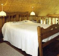 Forget-Me-Not Cottage - Accommodation in Surfers Paradise