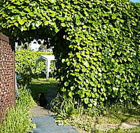 Kirra Guest House - Accommodation in Surfers Paradise