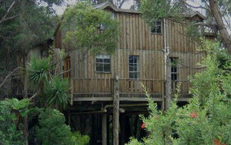 Crayfish Creek Van And Cabin Park And Spa House - Accommodation in Surfers Paradise 3