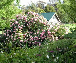 Conmel Cottage - Accommodation in Surfers Paradise 2