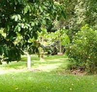 Kingfisher Park Birdwatchers Lodge - Accommodation in Surfers Paradise