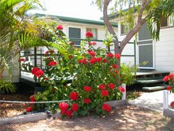 Gee Dees Family Cabins - Accommodation in Surfers Paradise 2