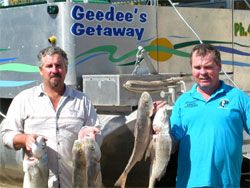 Gee Dees Family Cabins - Accommodation in Surfers Paradise 4
