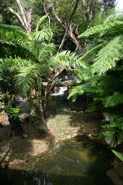 Daintree Secrets (Award Winning Retreat) - Accommodation in Surfers Paradise 4