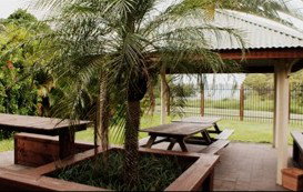 Wongai Beach Hotel Horn Island - Accommodation in Surfers Paradise 4