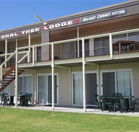 Coral Tree Lodge Tourist Park - Accommodation in Surfers Paradise