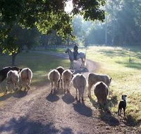 Brooloo Park - Accommodation in Surfers Paradise