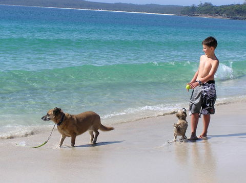 A Paradise Bungalow Waterfront - Accommodation in Surfers Paradise 1
