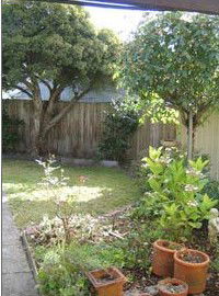 Rose Cottage Bed & Breakfast - Accommodation in Surfers Paradise 1