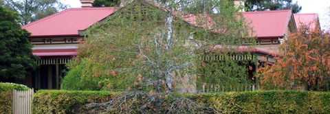 Silver Birch Bed & Breakfast - Accommodation in Surfers Paradise 4
