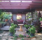 Blossoms Bed and Breakfast - Accommodation in Surfers Paradise