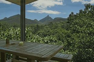 Mavis's Kitchen And Cabins - Accommodation in Surfers Paradise 1