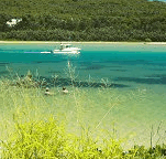 Wooli Camping and Caravan Park - Accommodation in Surfers Paradise