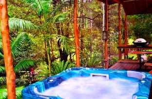 A Waterfall Hideout-Rainforest Cabin For Couples - Accommodation in Surfers Paradise 5