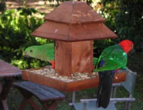 Chauvel Park B And B - Accommodation in Surfers Paradise 2