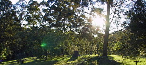 Calurla Chalets And Cottages - Accommodation in Surfers Paradise 0