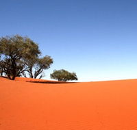 Theldarpa Stationstay - Accommodation in Surfers Paradise