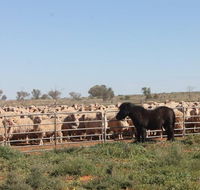 Pimpara Lake StationStay - Accommodation in Surfers Paradise