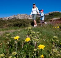 Horizons Apartment 407 - Accommodation in Surfers Paradise